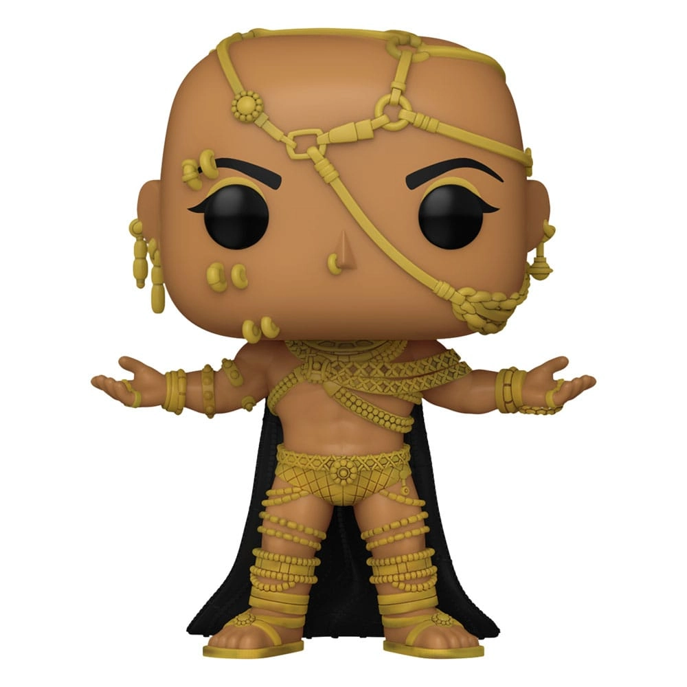 e1a7ca01-f0f3-448a-bed3-9f2acc120293 Funko Pop Movies Warner Bros 100th 300 - Xerxes 1475 - Image 1