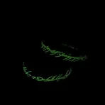 Anillo unico lotr Glows in The Dark - Image 3