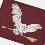 Tarjetero Hary Potter