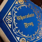 Almohada Harry Potter Chocolate Frog - Image 3