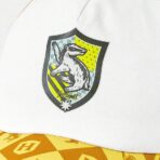 Gorra Lic. Harry Potter - Hufflepuff - Image 2